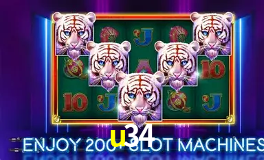 Flash Promotion u34